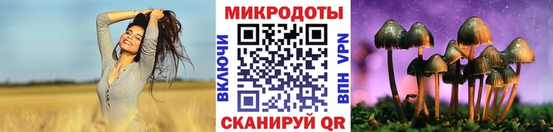 Галлюциногенные грибы Magic Shrooms  Купить закладки  Камышлов 