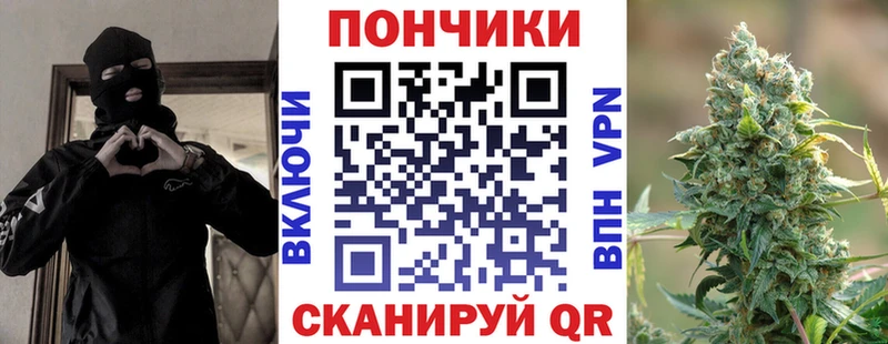 Бошки Шишки Bruce Banner  Купить где  Камышлов 